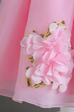 Robe de fille fleur rose A Line avec fleurs 3D